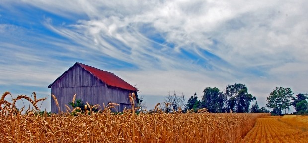 barn