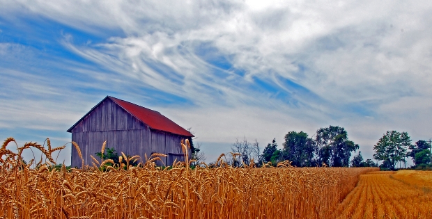 barn